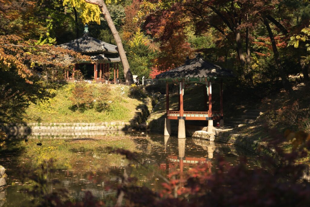 Beautful local park after Buying property in Korea. 